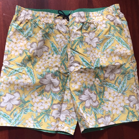 Lands' End Other - Lands’ End volley Swim Shorts